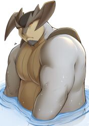 1boy bara belly biceps closed_mouth commentary completely_nude facial_hair fat fat_man furry furry_male gen_5_pokemon goatee highres horns legendary_pokemon looking_at_viewer male_focus muscular muscular_male nintendo nude pectorals pokemon pokemon_(creature) signature symbol-only_commentary terrakion water white_background zammonv