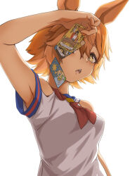 Rule 34 | + +, 1girl, animal ears, bare shoulders, blue sailor collar, blush, breasts, card, chestnut mouth, clothing cutout, commentary request, highres, horse ears, horse girl, looking at viewer, matikanefukukitaru (umamusume), medium breasts, neckerchief, open mouth, red neckerchief, sailor collar, shirt, shoulder cutout, simple background, solo, tarot, tarot card, the fool (tarot), the magician (tarot), the star (tarot), umamusume, upper body, white background, white shirt, yellow eyes, yingjian