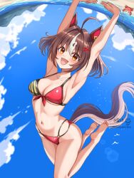 1girl :d animal_ears arm_support barefoot beach bikini blue_sky breasts cloud commentary_request crab day gran_alegria_(umamusume) halterneck handstand highres horse_ears horse_girl horse_tail looking_at_viewer medium_breasts multicolored_bikini open_mouth outdoors red_bikini sky smile solo string_bikini swimsuit tail tsukiyuki_mike two-tone_bikini umamusume upside-down yellow_eyes