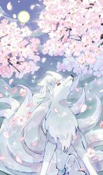 aisutabetao alternate_color animal animal_focus cherry_blossoms closed_mouth creatures_(company) falling_petals fox game_freak gen_1_pokemon grey_fur highres ninetales nintendo no_humans outdoors petals pokemon pokemon_(creature) red_eyes shiny_pokemon sky solo standing tree