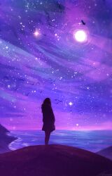 1other beach from_behind full_body full_moon hands_in_pockets hood hood_down hoodie horizon moon night night_sky original outdoors scenery shore simple_bird skirt sky solo sparkle standing star_(sky) starry_sky zandra