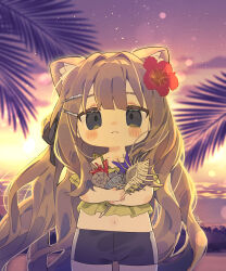 1girl animal_ear_fluff animal_ears beach black_shorts blush_stickers brown_hair cat_ears cat_girl closed_mouth commentary_request cowboy_shot evening flower grey_eyes hair_flower hair_ornament highres holding_seashell kipfel_(vrchat) long_hair looking_at_viewer navel notamaru_2 outdoors red_flower shorts solo vrchat