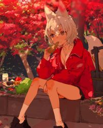 Rule 34 | 1girl, animal ears, black skirt, brown eyes, eating, food, fox ears, fox girl, fox tail, frog, grey hair, highres, holding, holding food, jacket, japanese clothes, kimono, original, outdoors, red jacket, short hair, sitting, skirt, socks, solo, tail, white kimono, white socks, yutsumoe