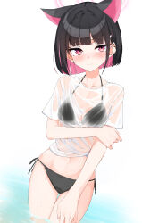 absurdres alternate_costume animal_ears bikini black_bikini black_hair blue_archive cat_ears cat_girl commentary halo highres isocha kazusa_(blue_archive) looking_at_viewer multicolored_hair pink_eyes pink_hair pink_halo see-through_clothes shirt simple_background swimsuit thighs two-tone_hair wet wet_clothes wet_shirt white_background white_shirt