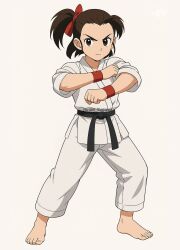 Rule 34 | 1girl, adk, artist name, barefoot, breasts, brown eyes, brown hair, closed mouth, female focus, highres, hiram yagami, izumo ryoko, judogi, looking at viewer, martial arts belt, matching hair/eyes, serious, side ponytail, simple background, snk, solo, white background, world heroes, wristband