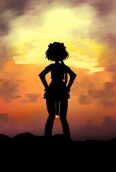 1boy alaniz_(lafertealanis) astolfo_(fate) braid evening fate_(series) highres huge_penis long_hair male_focus outdoors penis silhouette single_braid solo standing sun sunset