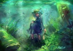 Rule 34 | 1girl, air bubble, blue dress, blue eyes, blue hair, bubble, closed mouth, dress, fukucha-fu no tanuki, glint, green hat, hat, highres, holding, jewelry, kawashiro nitori, kelp, key, key necklace, necklace, short hair, solo, touhou, twitter username, underwater