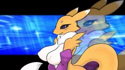 animated black_sclera blue_eyes colored_sclera digimon digimon_(creature) fox looking_at_viewer renamon tail video yin_yang