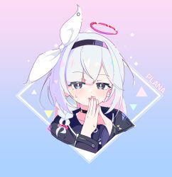 Rule 34 | 1girl, absurdres, black choker, black coat, black eyes, black hairband, blue archive, character name, choker, coat, colored inner hair, hair over one eye, hairband, halo, highres, looking at viewer, multicolored hair, neckerchief, pink hair, plana (blue archive), qri, red halo, solo, white hair, white neckerchief
