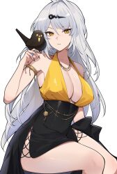 1girl alternate_costume animal animal_on_shoulder armlet bird bird_on_shoulder black_skin breasts collarbone colored_skin commentary hair_intakes hair_ornament hairclip halterneck high-waist_skirt highres jewelry large_breasts looking_at_viewer necklace rohioart simple_background skirt solo symbol-only_commentary white_background white_hair yellow_eyes yixuan_(zenless_zone_zero) zenless_zone_zero
