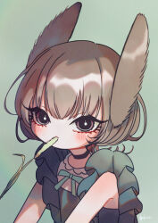 Rule 34 | 1girl, :&lt;, absurdres, animal ears, black choker, blush, chewing, choker, commentary request, dress, frilled dress, frills, green background, green dress, highres, looking at viewer, original, partial commentary, pink eyes, rabbit ears, signature, solo, yukinuno
