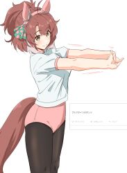 Rule 34 | 1girl, absurdres, ahoge, animal ears, bloomers, blush, bow, brown hair, checkered ribbon, dantsu flame (umamusume), ear covers, ear ribbon, grey hair, gym shirt, gym uniform, highres, horse ears, horse girl, horse tail, kazoku chicken, motion lines, multicolored hair, odaibako, pantyhose, pink bloomers, ponytail, request inset, shirt, smile, solo, streaked hair, stretching, t-shirt, tail, translation request, umamusume, underwear, white shirt, yellow eyes