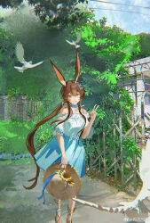 1girl :p absurdres amiya_(arknights) animal animal_ears arknights bare_shoulders bird blue_bow blue_collar blue_skirt bow brown_hair brown_hat chinese_commentary chromatic_aberration closed_mouth collar commentary_request day feet_out_of_frame fence grey_eyes hair_between_eyes hair_bow hat highres holding holding_unworn_clothes holding_unworn_hat jewelry long_hair looking_at_viewer multiple_rings off_shoulder outdoors photo-referenced plant ring shirt skirt smile solo spaghetti_strap straw_hat tongue tongue_out unworn_hat unworn_headwear v watermark weibo_watermark white_bird white_shirt you_zhiqi_de