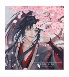 1boy absurdres artist_name bishounen black_hair black_hanfu branch cherry_blossoms chinese_clothes eyelashes falling_petals flower grey_eyes hair_ribbon hand_up hanfu high_ponytail highres long_hair long_sleeves looking_at_viewer male_focus modao_zushi ojisan_rbt open_mouth parted_bangs parted_lips petals pink_flower ponytail red_ribbon ribbon robe sidelocks sleeves_past_wrists smile solo sparkle teeth twitter_username upper_body watermark wei_wuxian wide_sleeves
