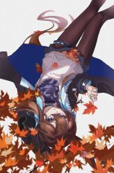 Rule 34 | 1girl, absurdres, amiya (arknights), animal ears, arknights, ascot, autumn leaves, blue eyes, brown hair, brown pantyhose, chinese commentary, chino (user zdyd2447), clothes writing, commentary request, feet out of frame, fingernails, grey background, hair between eyes, highres, holding, holding leaf, jewelry, jpeg artifacts, leaf, long hair, looking at viewer, lying, multiple rings, on back, pantyhose, parted lips, purple ascot, ring, simple background, solo, thighlet, upside-down, very long hair, white background