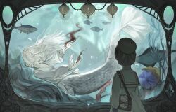 1boy 1girl air_bubble androgynous animal aquarium bag beret bleeding blood blood_on_hands blue_background brown_hair bubble caustics cindymeimezu collared_shirt colored_skin coral crying crying_with_eyes_open dress english_text facing_another fins fish floating_hair frilled_sleeves frills full_body gills grey_scales grey_shirt hair_over_one_eye hat highres holding holding_shell injury long_hair long_sleeves looking_at_another merman monster_boy original parted_lips puffy_long_sleeves puffy_sleeves sailor_collar satchel seashell seaweed self-harm shell shirt short_hair submerged suicide suicide_mermaid_(cindymeimezu) tears underwater upper_body white_eyes white_hair white_skin wrist_cutting