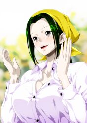 Rule 34 | 1girl, green hair, makino (one piece), nel-zel formula, one piece