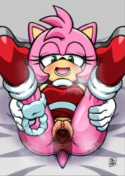 1girl absurdres aku_tojyo amy_rose anus breasts cervix gloves green_eyes hedgehog highres medium_breasts panties_around_leg pink_hair pov pussy sex sonic_(series) source_request tagme uncensored vaginal