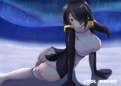 1girl absurdres ass aurora black_hair blush breasts brown_eyes emperor_penguin_(kemono_friends) hair_over_one_eye headphones highres hood hoodie ice jacket kemono_friends large_breasts leotard long_hair looking_at_viewer multicolored_hair poru_(tohopunk) smile solo streaked_hair tail thighhighs white_leotard white_thighhighs