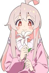 1girl ahoge blush blush_stickers brown_eyes closed_mouth colored_inner_hair commentary_request flower frilled_shirt_collar frilled_sleeves frills grey_hair hair_between_eyes highres holding holding_flower lily_(flower) long_hair long_sleeves multicolored_hair noyama_takenoko onii-chan_wa_oshimai! oyama_mahiro pink_hair pink_shirt puffy_long_sleeves puffy_sleeves shirt simple_background smile solo upper_body white_background white_flower