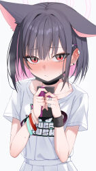 1girl :/ absurdres animal_ears animal_print black_hair blue_archive blunt_bangs blunt_ends blush bob_cut bracelet cat_ears cat_girl cat_print closed_mouth collarbone colored_inner_hair commentary ear_blush earclip earrings embarrassed extra_ears eyelashes frown furrowed_brow gift hair_behind_ear hair_ornament hairclip halo hands_up highres holding holding_gift jewelry kazusa_(band)_(blue_archive) kazusa_(blue_archive) looking_at_viewer medium_hair multicolored_hair multiple_rings nose_blush official_alternate_costume pink_hair pink_halo print_shirt red_eyes ring shirt short_sleeves simple_background slit_pupils solo straight_hair stud_earrings sweat symbol-only_commentary t-shirt tsurime two-tone_hair upper_body wendao white_background white_shirt