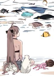 1girl ahoge animal azur_lane bikini bird black_bikini brown_hair cat fish from_behind hatski.sin highres jean_bart_(azur_lane) long_hair nanashi_mumei ponytail shark shorts sitting solo swimsuit turtle very_long_hair white_cat
