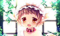 1girl :d animal_ears bare_shoulders blurry blurry_background bow brown_bow brown_eyes brown_hair brown_hairband collar collarbone commentary_request depth_of_field dog_ears dog_girl dog_tail fang frilled_hairband frills hairband looking_at_viewer open_mouth original red_collar sakurazawa_izumi short_hair smile solo sunlight tail upper_body window
