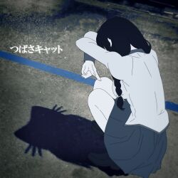 1girl black_hair black_shoes blue_skirt blue_sky braid character_name fooring from_behind full_body hanekawa_tsubasa highres loafers long_hair long_sleeves monogatari_(series) naoetsu_high_school_uniform nekomonogatari outdoors pleated_skirt road school_uniform shadow shadow_puppet shirt shoes skirt sky solo squatting translated twin_braids white_shirt