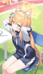 1girl absurdres animal_ear_fluff animal_ears blue_archive blurry blurry_background chair commentary desk flower fox_ears green_eyes gym_shorts gym_uniform hair_flower hair_ornament hairband highres jacket long_hair looking_at_viewer mari_(blue_archive) mari_(track)_(blue_archive) miyayoki mouth_hold official_alternate_costume on_chair ribbon ribbon_in_mouth shorts sitting solo track_jacket white_hairband