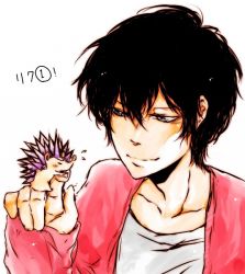 Rule 34 | 1boy, amano akira, animal, black hair, grey eyes, hedgehog, hibari kyouya, katekyo hitman reborn!, male focus, short hair, simple background, smile, solo, white background