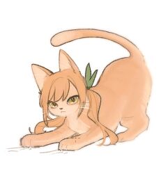 :&lt; animal_focus animalization cat chi_kan100 green_ribbon hair_ribbon inda_karane kimi_no_koto_ga_dai_dai_dai_dai_daisuki_na_100-nin_no_kanojo looking_at_viewer orange_cat parted_bangs ribbon scratches simple_background twintails white_background yellow_eyes