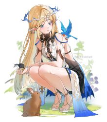 1girl ? animal ayasyacyo bird black_bird black_collar black_dress blonde_hair blue_bird blue_eyes braid cartethyia_(wuthering_waves) collar dress highres parted_lips pointy_ears rabbit sandals solo squatting tacet_mark_(wuthering_waves) twitter_username white_sandals wuthering_waves