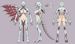 1girl angel_at_dusk arms_at_sides ass breasts carapace claws flat_color from_behind from_side full_body highres medium_breasts monster_girl multiple_views navel official_art reference_sheet simple_background solo standing tail toguromaki_kumoyuki wings