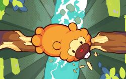 Rule 34 | animal focus, bidoof, buck teeth, from above, gen 4 pokemon, grass, leaf, log, nintendo, no humans, outdoors, pokemon, pokemon (creature), pokemon focus, pokemon tcg, rock, second-party source, takekazu, teeth, water