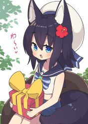 1girl :d animal_ears beret black_hair black_sailor_collar blue_bow blue_eyes blue_shorts blush bow box commentary_request crop_top fang flower fox_ears fox_girl fox_tail gift gift_box hair_between_eyes hair_flower hair_ornament hat hibiscus highres holding holding_gift looking_at_viewer midriff open_mouth original red_flower sailor_collar saisoku_no_yukkuri shirt shorts sitting sleeveless sleeveless_shirt smile solo striped_bow tail translation_request white_hat white_shirt