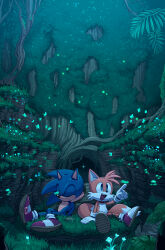 2boys absurdres animal_ears blue_fur bug butterfly digimin firefly forest fox fox_ears fox_tail furry furry_male glass gloves hedgehog highres insect light_particles looking_to_the_side multiple_boys nature night night_sky rock shoes sky sleeping smile sonic_(series) sonic_the_hedgehog sonic_the_hedgehog_(idw) tail tails_(sonic) tree white_gloves yellow_fur