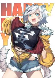 Rule 34 | 1girl, animal ear fluff, animal ears, animal print, arm up, black shirt, blue eyes, blue shorts, breasts, chinese zodiac, commentary request, contrapposto, cowboy shot, cropped shirt, english text, facial mark, fangs, fur-trimmed jacket, fur-trimmed shorts, fur trim, grey hair, hair intakes, happy new year, highres, holding, holding jacket, holding unworn clothes, jacket, kamatpit, large breasts, leotard, leotard under clothes, long sleeves, looking at viewer, midriff peek, multicolored hair, new year, open clothes, open fly, open mouth, open shorts, original, parted bangs, partially unzipped, print shirt, puffy long sleeves, puffy sleeves, shirt, short hair, short shorts, shorts, skindentation, sleeved leotard, solo, standing, streaked hair, tail, text background, tiger ears, tiger girl, tiger print, tiger tail, torn clothes, torn shirt, two-sided fabric, two-sided jacket, unworn jacket, v-shaped eyebrows, whisker markings, white background, white hair, year of the tiger, yellow jacket