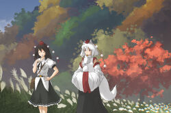 2girls animal_ears autumn autumn_leaves bag belt black_skirt closed_eyes cropped day detached_sleeves facing_viewer feet_out_of_frame field grass hand_on_own_chest hand_on_own_hip hat highres inubashiri_momiji leaf long_skirt looking_afar mountain_of_faith multiple_girls nature oubachiago pom_pom_(clothes) procreate_(medium) puffy_sleeves red_eyes satchel scenery shameimaru_aya shirt short_sleeves skirt sky standing tail tall_grass tokin_hat touhou tree turtleneck white_shirt wind wolf_ears wolf_girl wolf_tail