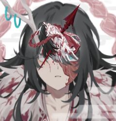 1boy antlers black_eyes black_hair bleeding blood blood_on_clothes blood_on_face blue_eyes blurry blurry_background burn_scar double-parted_bangs floating flower fur_collar hair_between_eyes heterochromia highres hong_lu_(project_moon) horns impaled limbus_company looking_at_another male_focus mini_person miniboy multiple_views polearm project_moon robe rose scar solo spear tears_of_the_tarnished_blood_(e.g.o) weapon white_flower white_robe white_rose wide-eyed wuzinan19