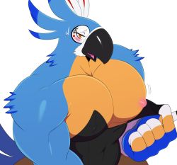 1boy beak bird blush brown_eyes eric_lowery highres kass male_focus nintendo nipples open_mouth rito simple_background solo sweat sweatdrop the_legend_of_zelda the_legend_of_zelda:_breath_of_the_wild white_background