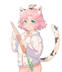 :i absurdres animal_ear_fluff animal_ears bangs_pinned_back blush bottomless carrot cat_ears cat_girl cat_tail cowboy_shot diona_(genshin_impact) food forehead genshin_impact green_eyes highres holding holding_carrot holding_food holding_vegetable hood hooded_jacket jacket loli looking_at_viewer multicolored_tail ningmeng_chamao no_panties paw_print pink_hair pussy ribbed_sweater short_hair solo standing sweater tail thick_eyebrows vegetable white_background
