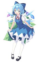 1girl absurdres artist_name black_shoes blue_bow blue_dress blue_eyes blue_flower blue_hair blush bow chinese_commentary cirno collared_shirt commentary_request detached_wings dress flower full_body hair_bow highres ice ice_wings looking_at_viewer mary_janes morning_glory neck_ribbon open_mouth pantyhose pinafore_dress puffy_short_sleeves puffy_sleeves purple_flower red_ribbon ribbon setteiset shirt shoes short_sleeves signature simple_background skirt_hold sleeveless sleeveless_dress smile solo touhou white_background white_pantyhose white_shirt wings