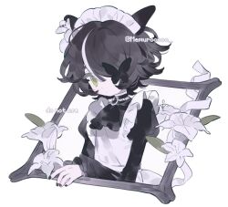 1girl animal_ears apron black_dress black_hair black_nails bug butterfly butterfly_hair_ornament choker dress flower frills hair_ornament hair_over_one_eye insect juliet_sleeves long_sleeves maid maid_apron maid_headdress memuro multicolored_hair one_eye_covered original picture_frame puffy_sleeves short_hair solo streaked_hair upper_body white_background