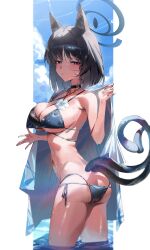 1girl absurdres animal_ear_fluff animal_ears arm_up ass bakeneko bare_shoulders bikini black_eyes black_hair black_tail blue_archive blue_bikini blue_halo blue_haori blush breasts cat_ears cat_girl cat_tail choker chun_nam cleavage closed_mouth colored_inner_animal_ears cowboy_shot halo halterneck haori highres japanese_clothes kikyou_(blue_archive) kikyou_(swimsuit)_(blue_archive) large_breasts layered_bikini looking_at_viewer looking_back multiple_tails nail_polish navel official_alternate_costume short_hair side-tie_bikini_bottom solo standing string_bikini swimsuit tail two_tails water