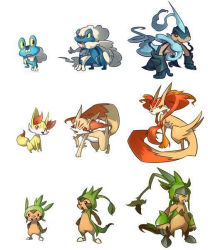 10s chespin creatures_(company) fakemon fennekin froakie game_freak gen_6_pokemon nintendo pokemon pokemon_(creature) pokemon_xy