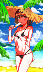 1girl arm_behind_back beach bikini black_bikini blue_sky breasts brown_eyes brown_hair cloud food front-tie_bikini_top front-tie_top hat highres holding holding_food holding_ice_cream holding_popsicle ice_cream medium_hair melting_popsicle misaka_mikoto mitsunari_(708154) navel ocean outdoors palm_tree popsicle sky small_breasts solo straw_hat string_bikini swimsuit toaru_kagaku_no_railgun toaru_majutsu_no_index tongue tongue_out tree