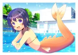 Rule 34 | 1girl, :d, bare arms, bare shoulders, bikini, black bikini, blue sky, blurry, blurry background, breasts, building, cloud, commentary, commission, day, depth of field, hair between eyes, highres, kou hiyoyo, mermaid, monster girl, open mouth, original, pool, purple eyes, purple hair, short hair, skeb commission, sky, small breasts, smile, solo, swimsuit, tree, water, window