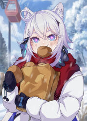 +_+ 1girl absurdres animal_ear_fluff animal_ears bag black_mittens blue_bow blue_eyes blush bow cat_ears food highres holding holding_food honkai_(series) honkai_impact_3rd jacket kiana_kaslana looking_at_viewer m78_zaitaoaotezhanshi medium_hair mittens mouth_hold outdoors paper_bag red_scarf scarf snow solo upper_body white_hair white_jacket