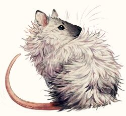 animal animal_focus blue_eyes colorpoint fluffy giulialibard mouse_(animal) no_humans original realistic simple_background sitting snout solo whiskers white_background white_fur