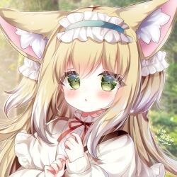 1girl :o animal_ear_fluff animal_ears aqua_hairband arknights artist_name blonde_hair blush cardigan commentary_request fox_ears fox_girl fox_tail frilled_hairband frills green_eyes hair_ornament hair_scrunchie hairband hamiyamiko highres long_sleeves looking_at_viewer multicolored_hair neck_ribbon official_alternate_costume open_cardigan open_clothes paid_reward_available parted_lips partial_commentary puffy_long_sleeves puffy_sleeves red_ribbon ribbon scrunchie shirt sleeve_cuffs solo suzuran_(arknights) suzuran_(spring_praise)_(arknights) tail two-tone_hair upper_body white_hair white_shirt yellow_cardigan